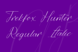 Trekfox Hunter Font Family