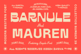 Trial Version Font Family