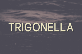 Trigonella Font