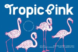 Tropic Pink Font