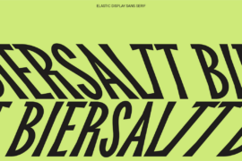 TT Biersal Trial Font Family
