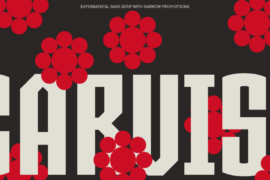 TT Carvist Trial Font Family