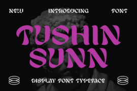 TUSHIN SUNN Font