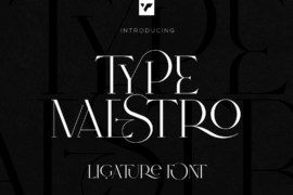 Type Maestro Font