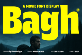 UT Bagh Display Demo Font