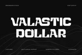 VALASTIC DEMO Font