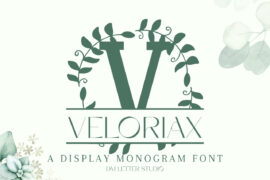 Veloriax Split Monogram Font
