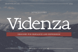 Videnza Font