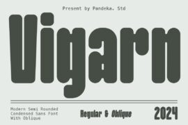 Vigarn DEMO Font