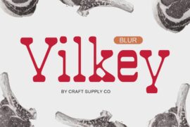 Vilkey Blur Demo Font