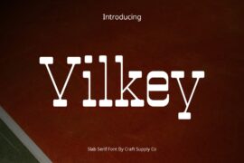 Vilkey Demo Font
