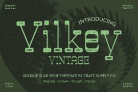 Vilkey Vintage Demo Font