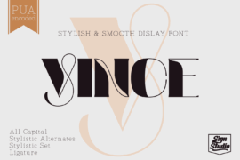 Vince Font
