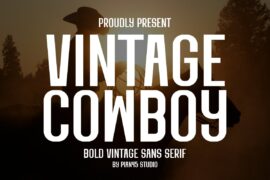 Vintage Cowboy Font