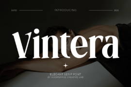 Vintera Font Family