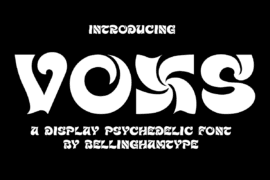 Voxs Font