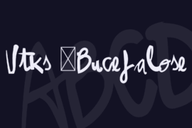 Vtks -Bucefalose Font