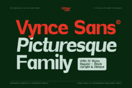 Vynce Sans Demo Font