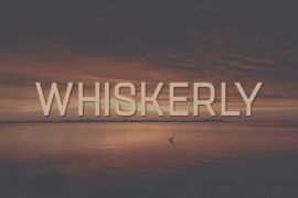 Whiskerly Font