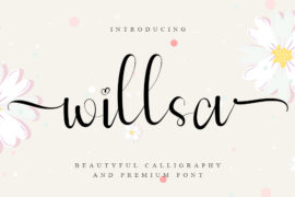 Willsa Font