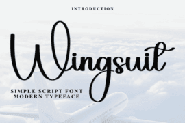 Wingsuit Font