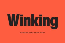 Winking Font