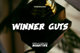 Winner Guts Demo Font
