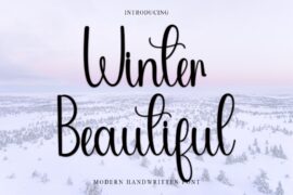 Winter Beautiful Font