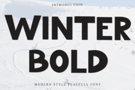 Winter Bold Font