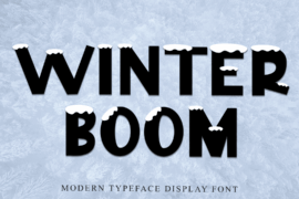 Winter Boom Font