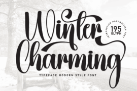 Winter Charming Font