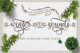 Winter Sounds Script Font