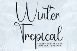 Winter Tropical Font