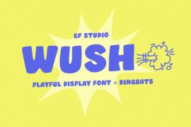 WUSH – Personal Use Font