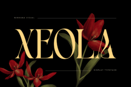 Xeola Demo Version Font