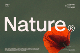 ZT Nature Font Family