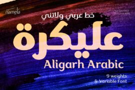 Aligarh Arabic FREE PERSONAL USE Font Family