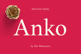 Anko Personal Use Font Family