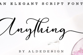 Anything Font Family
