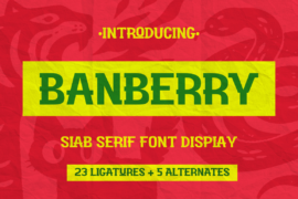 Banberry Font Family