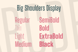 Big Shoulders Display Font Family