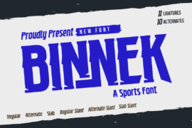 BINNEK Font Family