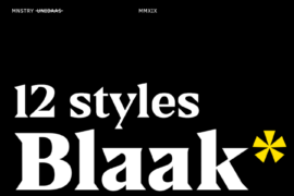Blaak PERSONAL USE Font Family