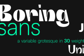 Boring Sans B Trial Font Family