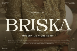 Briska Demo Font
