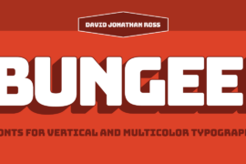 Bungee Font Family