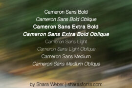 CameronSans Font Family