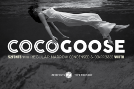 Cocogoose Pro Font Family