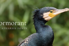 Cormorant Font Family