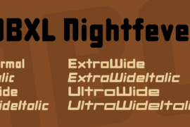 DBXL Nightfever Font Family
